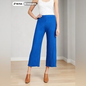 Jon & Anna Vibrant Blue pleated Cropped Pants XL